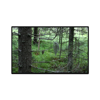 ভালো দাম TV101WUB-NW1-D9P0 10.1 ইঞ্চি 1200 * 1920 এলসিডি প্যানেল প্রদর্শন অনলাইন