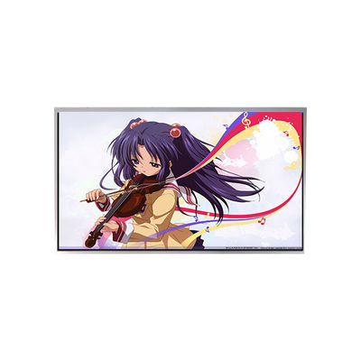 ভালো দাম TM101JVKP01-00 10.1 ইঞ্চি 1280*720 এলসিডি স্ক্রিন ডিসপ্লে অনলাইন