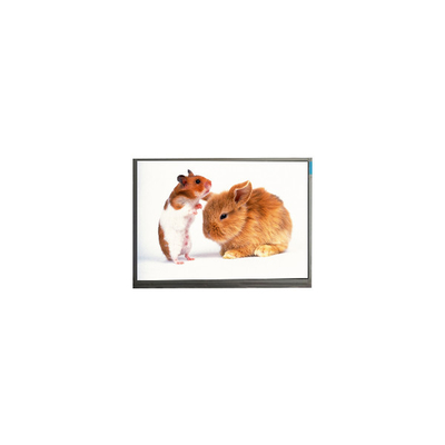 ভালো দাম F060A21-603 6.0 ইঞ্চি 720 * 1440 মোবাইল ফোনের জন্য এলসিডি ডিসপ্লে মডিউল অনলাইন