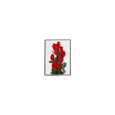 ভালো দাম নতুন 6.2 ইঞ্চি C062SWP1-1 800*480 এলসিডি ডিসপ্লে অনলাইন