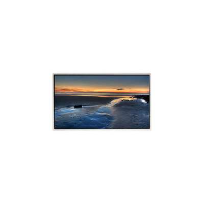 ভালো দাম TT090WSQ-N10 9.0 ইঞ্চি 1024 * 600 এলসিডি স্ক্রিন ডিসপ্লে প্যানেল অনলাইন