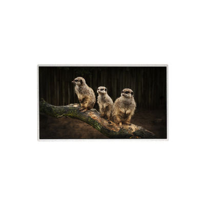 ভালো দাম HR236WU1-310 23.6 ইঞ্চি 1920*1080 এলসিডি স্ক্রিন টিএফটি এলসিডি প্যানেল অনলাইন