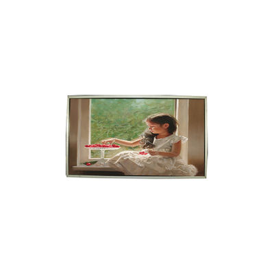 ভালো দাম ২৩.০ ইঞ্চি এলটিএম২৩০এইচটি০৫-ভি ৩০ পিনস ১৯২০*১০৮০ এলসিডি স্ক্রিন প্যানেল অনলাইন