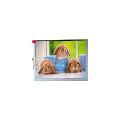 ভালো দাম নতুন TM070SDH03 800*600 7.0 ইঞ্চি টিএফটি-এলসিডি স্ক্রিন প্যানেল অনলাইন