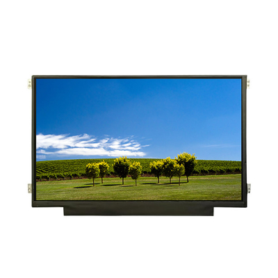 ভালো দাম 1280*720 B101EW01 V0 10.1 ইঞ্চি 60Hz এলসিডি ডিসপ্লে মনিটর অনলাইন