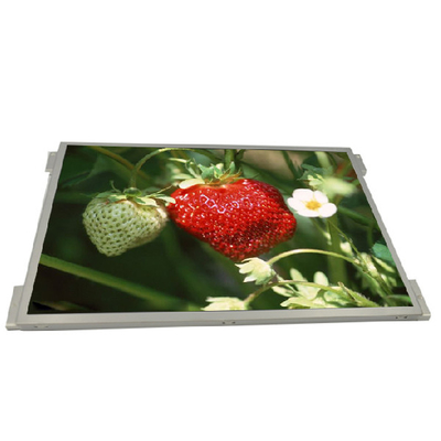 ভালো দাম G104XVN01.0 1024x768 IPS ইন্ডাস্ট্রিয়াল 10.4 ইঞ্চি LCD ডিসপ্লে অনলাইন