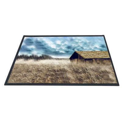 ভালো দাম AUO 10.1 ইঞ্চি B101XAN01.2 1366x768 TFT LCD প্যানেল স্ক্রীন অনলাইন